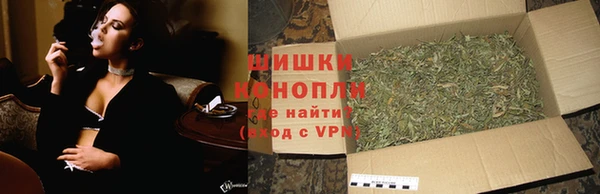 прущие грибы Белоозёрский