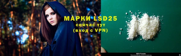 прущие грибы Белоозёрский