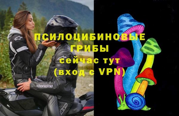 прущие грибы Белоозёрский