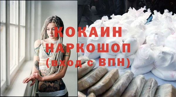 гидра Богданович